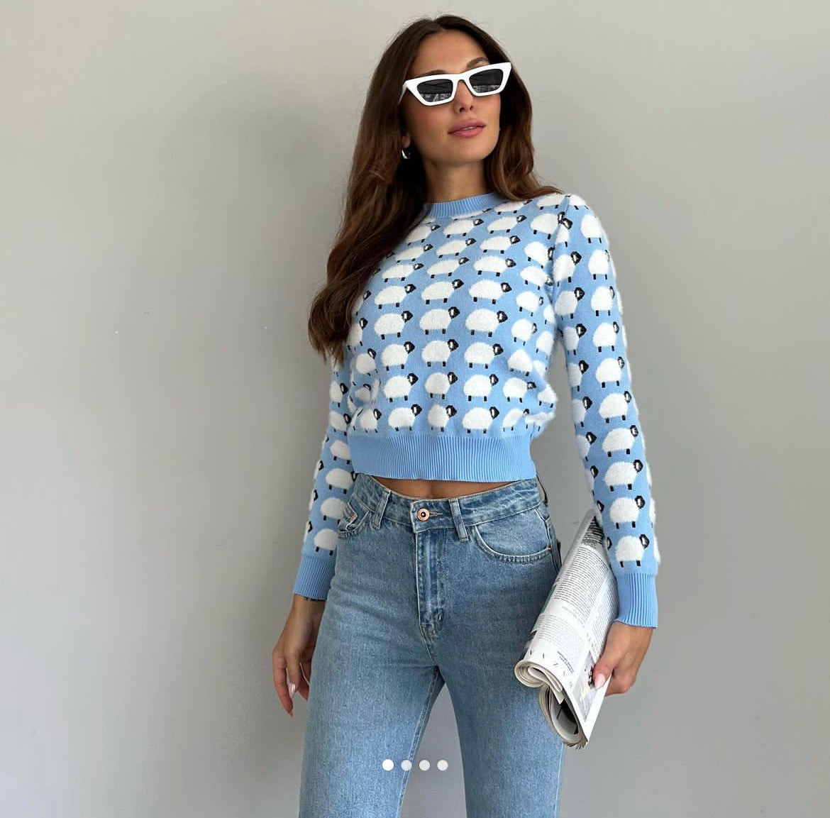 Pull petits 🐑